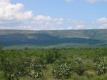 Scenery